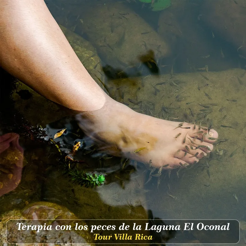 Habitación con literas